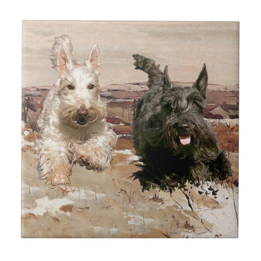 Wheaten & Black Scotning Fliese (Vorderseite)