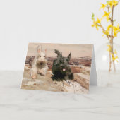 Wheaten & Black Scotning Karte (Gelbe Blume)