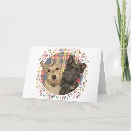 Wheaten & Black Scott auf Tartan Feiertagskarte (Vorderseite)