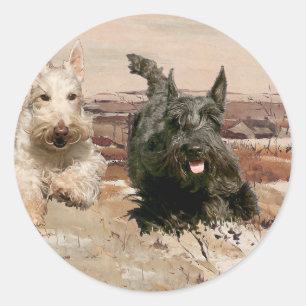 Wheaten & Black Scotties Laufen Runder Aufkleber