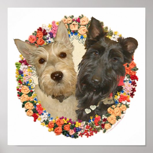 Wheaten & Black Scotties Poster (Vorne)