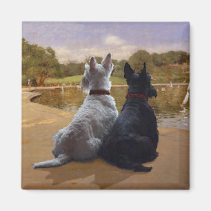 Wheaten & Black Scottish Terrier Magnet