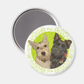 Wheaten & Black Scottish Terriers Magnet (Vorderseite/Rückseite)