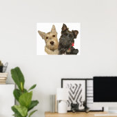 Wheaten & Black Scottish Terriers Poster (Heimbüro)