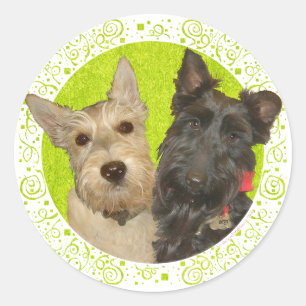 Wheaten & Black Scottish Terriers Runder Aufkleber