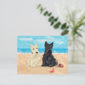 "Wheaten & Black Scotts" am Strand Postkarte (Stehend Vorderseite)