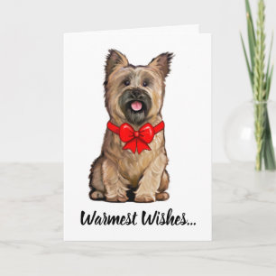 Wheaten Cairn Terrier mit einer Weihnachtsschleife Karte