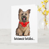 Wheaten Cairn Terrier Tragen eines Weihnachtsbows Karte (Gelbe Blume)