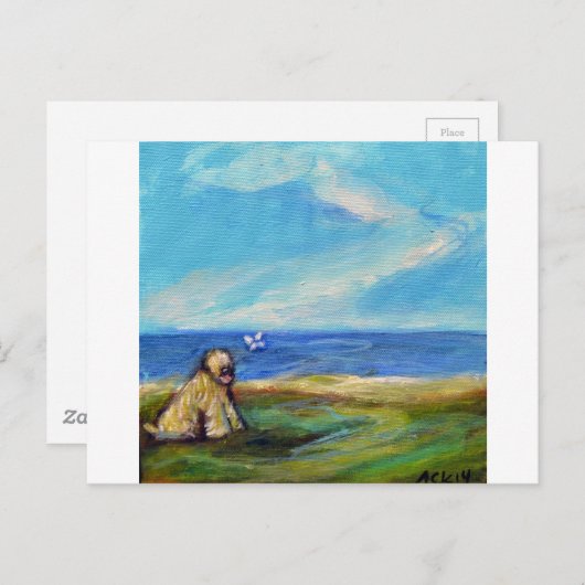 Wheaten Ocean Breeze Postkarte (Vorne/Hinten)