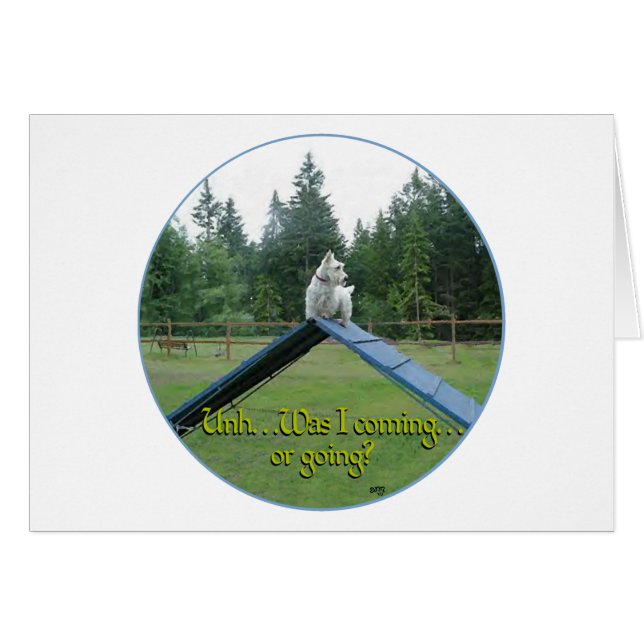 Wheaten Scottie Agility (Vorderseite (Horizontal))