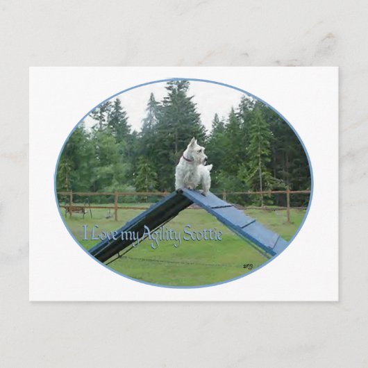 Wheaten Scottie Agility Postkarte (Vorderseite)