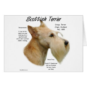 Wheaten Scottie History