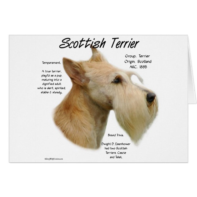 Wheaten Scottie History (Vorderseite (Horizontal))
