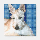 Wheaten Scottie Magnets Magnet (Vorne)