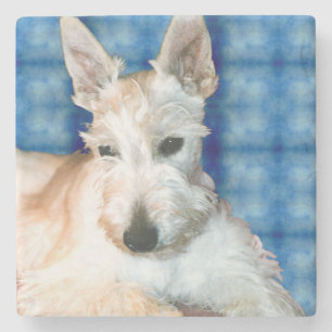 Wheaten Scottie Marble Coster Steinuntersetzer