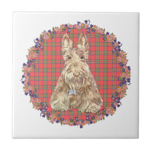 Wheaten Scottie Tartan Fliese