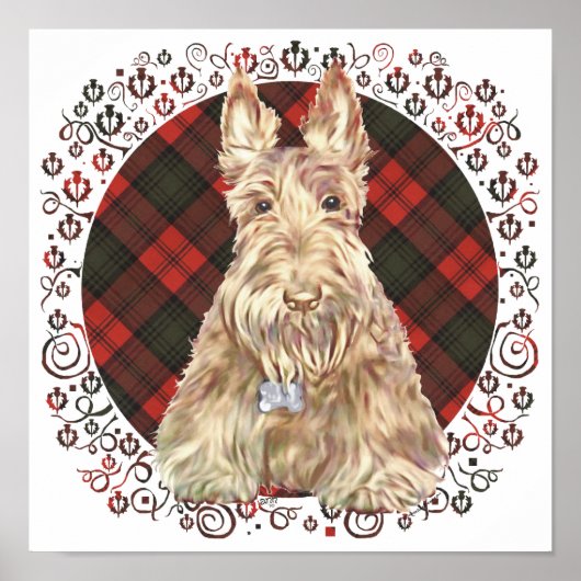 Wheaten Scottie Tartan Poster (Vorne)