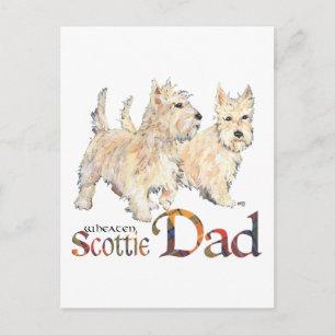 Wheaten Scotties feiern Vatertag Postkarte