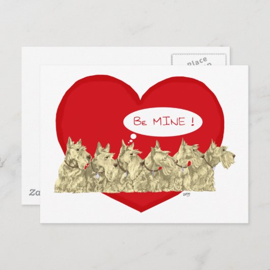 Wheaten Scotties Valentine Feiertagspostkarte (Vorne/Hinten)