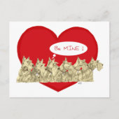 Wheaten Scotties Valentine Feiertagspostkarte (Vorderseite)