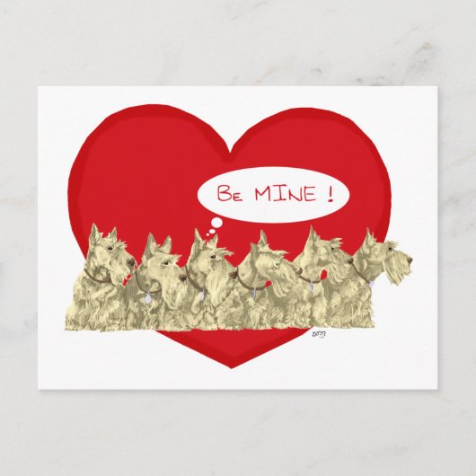 Wheaten Scotties Valentine Feiertagspostkarte (Vorderseite)