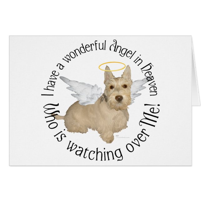 Wheaten Scottish Terrier Angels (Vorderseite (Horizontal))