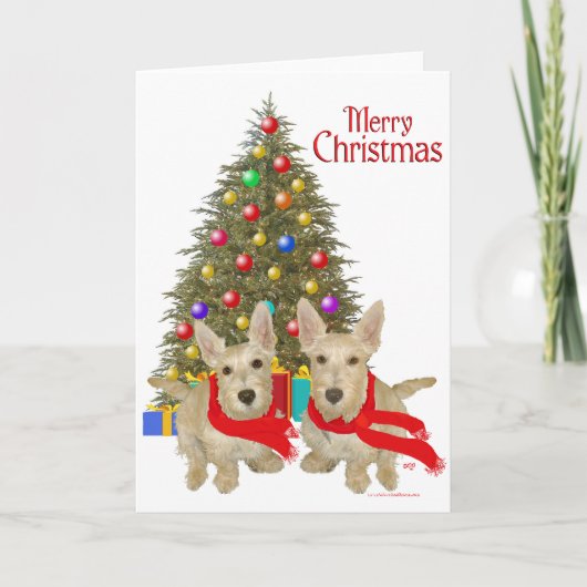 Wheaten Scottish Terrier Chirstmas Feiertagskarte (Vorderseite)