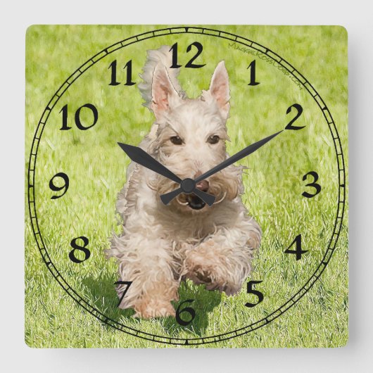 Wheaten Scottish Terrier Clock Quadratische Wanduhr (Vorderseite)