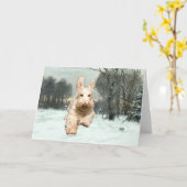 Wheaten Scottish Terrier Greeting Card Karte (Gelbe Blume)