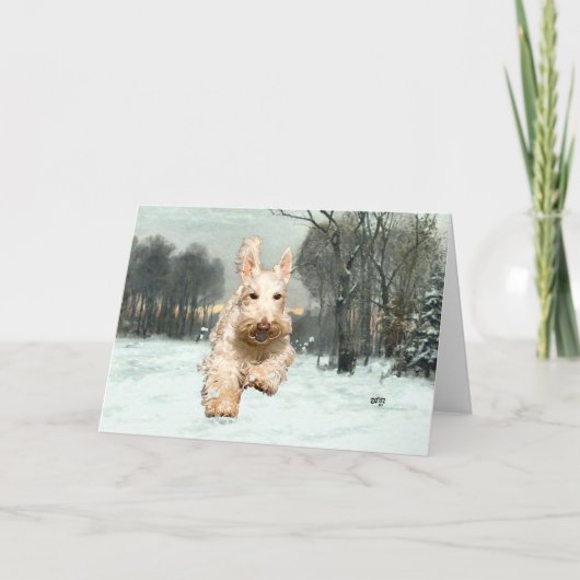 Wheaten Scottish Terrier Greeting Card Karte (Vorderseite)