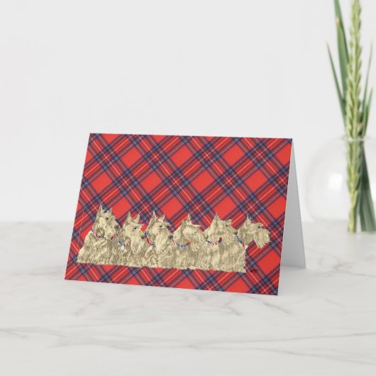 Wheaten Scottish Terrier Greeting Card Karte (Vorderseite)
