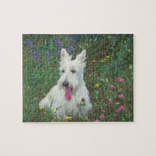 Wheaten Scottish-Terrier-Hundepuzzlespiel Puzzle