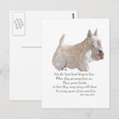 Wheaten Scottish Terrier Rainbow Bridge Postkarte (Vorne/Hinten)