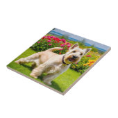 Wheaten Scottish Terrier spielt in Blume Grass Fliese (Seite)