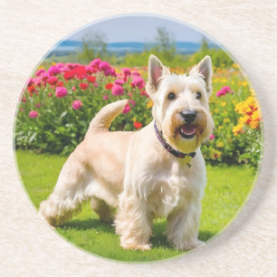Wheaten Scottish Terrier spielt in Blume Grass Getränkeuntersetzer