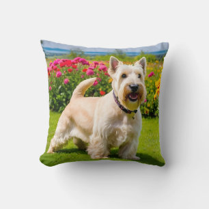 Wheaten Scottish Terrier spielt in Blume Grass Kissen