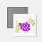 Wheaten Scottish Terrier Sweater Magnet (Vorderseite/Rückseite)