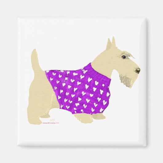Wheaten Scottish Terrier Sweater Magnet (Vorne)