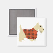 Wheaten Scottish Terrier Sweater Magnet (Vorderseite/Rückseite)