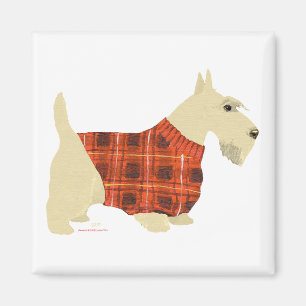 Wheaten Scottish Terrier Sweater Magnet