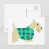 Wheaten Scottish Terrier Sweater Postkarte (Vorne/Hinten)