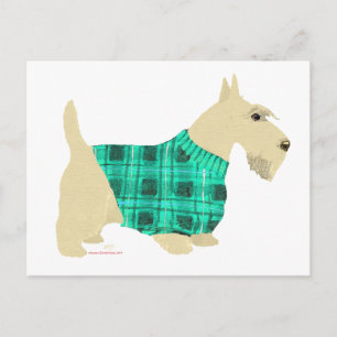 Wheaten Scottish Terrier Sweater Postkarte