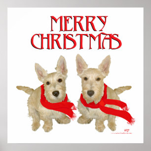 Wheaten Scottish Terrier Weihnachten Poster