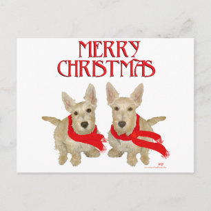 Wheaten Scottish Terrier Weihnachten Postkarte