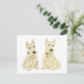 Wheaten Scottish Terriers Postkarte (Stehend Vorderseite)