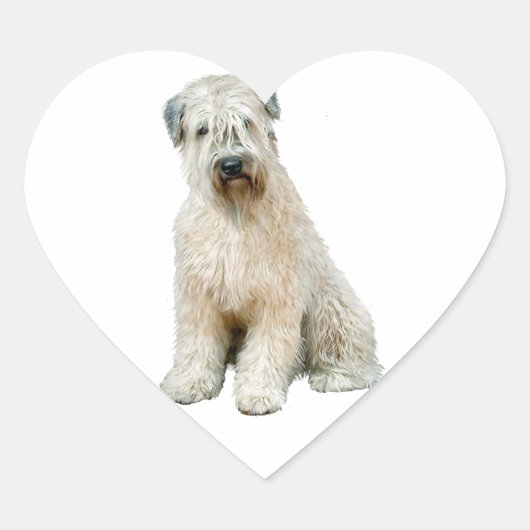 Wheaten Terrier (C) Herz-Aufkleber (Vorderseite)