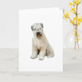 Wheaten Terrier (C) Karte (Gelbe Blume)