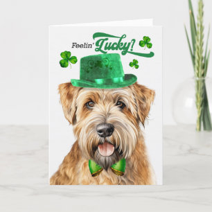 Wheaten Terrier Dog Feelin' Lucky St Patrick's Day Feiertagskarte