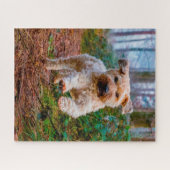 Wheaten Terrier Dog Jigsaws. Puzzle (Horizontal)