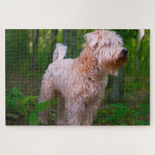 Wheaten Terrier Dog Jigsaws. Puzzle (Horizontal)